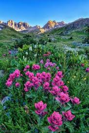 The city of mountain view announces the release of its latest consumer confidence report, also known as the water quality report. 76 Beautiful Flowers Mountain View Ideas In 2021 Beautiful Flowers Beautiful Nature Scenery