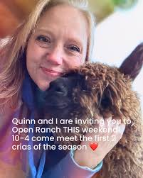 Karey Grant (@fibertraveler) • Instagram photos and videos