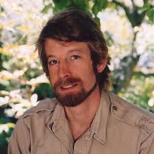 TOP 10 BEST Japanese Landscaping near Alameda, CA