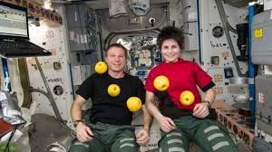 La piccola sarebbe nata a. Perche Si Fluttua A Bordo Della Iss Il Libro Scolastico Sbaglia La Risposta E Astrosam Lo Boccia E Una Sciocchezza La Repubblica