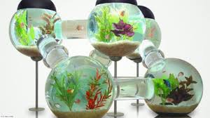 6 go for plastic plants for longevity. Update 2018 40 Amazing Aquarium Fish Ideas 2018 Creative Home Design Fish Tank And Colors Youtube