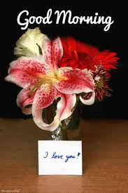 101 Good Morning I Love You Wishes Best Collection Good Morning My Love Good Morning Good Morning Flowers