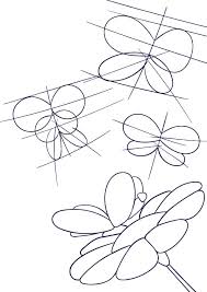 Our next insect is how to draw a butterfly on a flower. Learn How To Draw A Butterfly On A Flower Step By Step Tutorial