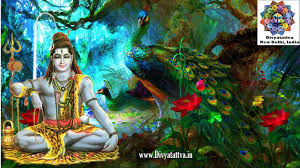 Lord shiva images hd 1080p download. Shiva 3d Wallpaper For Pc Wallpaper Galaxy