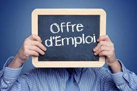 Ambassade - 🔊 🇫🇷 L'Ambassade de France recrute un(e) assistant(e) de vie  professionnelle (h/f) en contrat à durée déterminée pour la période du 18  août au 17 décembre 2025, à temps partiel (