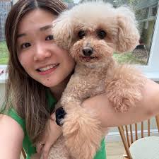 Professional outfits for female college students