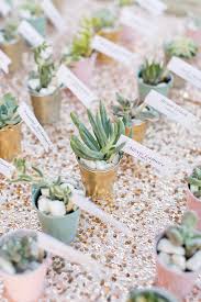 Santa Barbara Destination Wedding With Succulents Seating