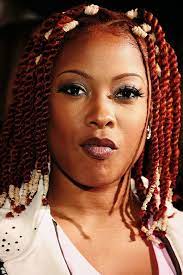 Black Culture Braid Styles Da Brat Black Hair 90s