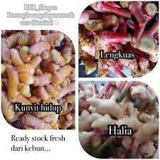 Nasi impit, rebus telur, rebus tempe, hiris nipis dan goreng garing (optional) ikan bilis kecil, goreng (optional) Kunyit Hidup Prices And Promotions Jun 2021 Shopee Malaysia