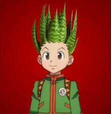 We did not find results for: Here S Gon Crossed With My Aloe Vera Hunterxhunter