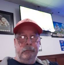 Two bald eagles are perched