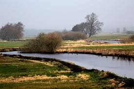We did not find results for: Naturpark Teufelsmoor Teufelsmoor Bremen Nord News Facebook