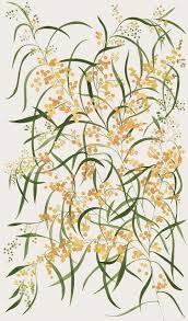 Pin By Isidore Augustine Fine Paper On Hermosos Paisajes Australian Native Flowers Australian Wildflowers Botanical Drawings