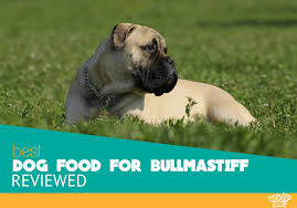 7 Best Dog Food For Bullmastiff 2019 Reviews And Ratings