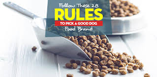 Common antioxidants are vitamins c and e. 28 Good Dog Food Brands Rules For Your Next Shopping Session