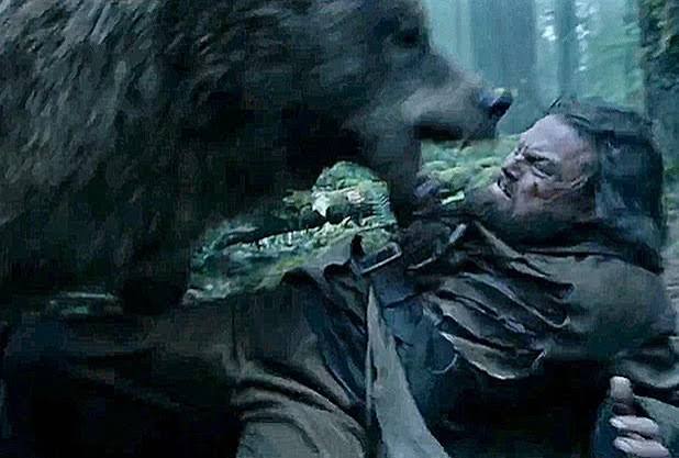No, Leonardo DiCaprio Doesn't Get Raped by a Bear in 'The Revenant' -  TheWrap