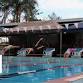 Dimbulah Dolphins Transition Meet event image