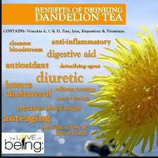 Pin By Tea Lovers On Workouts Dandelion Tea Dandelion Tea Benefits Dandelion Benefits