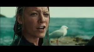 Perfil de Sully Seagull