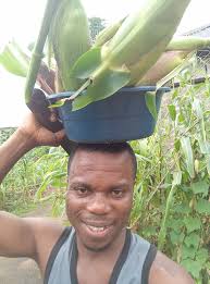 May heaven bless the work of your hands