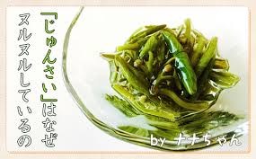 旬の じゅんさい はどうしてヌルヌルしているの 一般財団法人 日本educe食育総合研究所