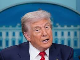 India vs Australia: Maxwell's Magnificent Century Gives Australia Series  Win