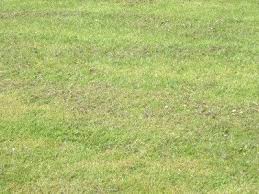 John valentino and chip walk you through 5 easy steps showing you exactly how to fix wet spots, till for a new lawn (either seed or sod), the best way to apply our organic products for. Fill Uneven Lawn Low Spots How To Level A Lawn Gardening Know How