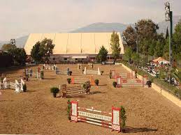 Maybe you would like to learn more about one of these? Sxolh Ippasias Tatoioy Ippikos Omilos Mega Sports Trot Gr