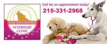 Dutton Road Veterinary Clinic