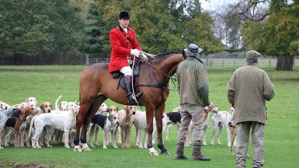 British Fox Hunting - YouTube