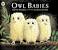 Owl Baby