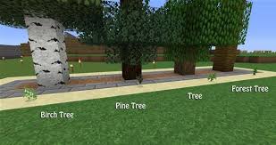 How To Build A Tree Farm In Minecraft For Easy Access To All Types Of Wood Minecraft Wonderhowto