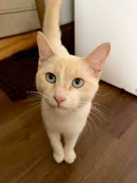 Erin Eckhardt's Instagram, Twitter & Facebook