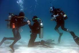 In utah, divers do not need to have their scuba certification. Scuba Certification Cost In Denver A 1 Scuba Travel Center