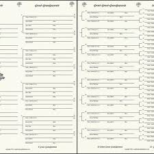 My Family Tree 7 Generation Pedigree Chart Cream