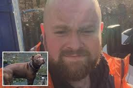 Dog owner, 35, mauled to death by his Staffordshire bull terrier after  collapsing while having an epileptic fit