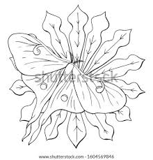 Learn vocabulary, terms and more with flashcards, games and other study tools. Counting With Contando Con Frida A Bilingual Counting Book Selena Quintanilla Png Stunning Free Transparent Png Clipart Images Free Download