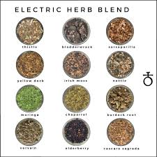 The species of this herb vary in different areas; Electric Herb Blend Dr Sebi Inspired The Nok Apothecary