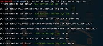 Github Viperbluff Portwitness Tool For Checking Whether A Domain Or Its Multiple Sub Domains Are Up And Running