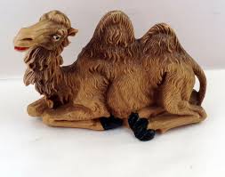 Camel adaptations behavioural adaptations structural adaptations camels have learned to face the sun while lying down, causing less of the body exposed. Pin On I Found It On Ebay