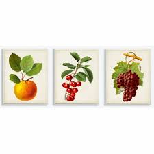 Check out our painting for the dining room selection for the very best in unique or custom, handmade pieces from our shops. Gracie Oaks Vintage Fruits Food Kitchen Dining Room Painting Design 3 Piece Graphic Art Set On Canvas Wayfair