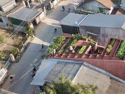 gallery of the red roof taa design 1 jardins sur les toits architecture toiture terrasse