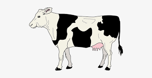 Check spelling or type a new query. Cow Livestock Cattle Farm Animal Beef Dair Side Of A Cow Transparent Png 506x340 Free Download On Nicepng