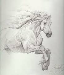 Title Petar Meseldzija Majestic Horse Study Artist Petar Meseldzija Penciller Media Type Pencil Art T Horse Art Drawing Horse Drawings Animal Drawings