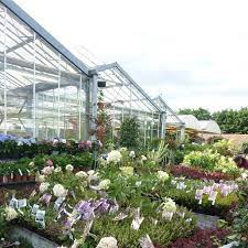 girouette nouvelle truffaut les jardins d emilie