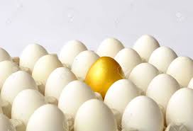 Gallina sentada sobre huevos de oro. Huevo De Oro Entre Los Huevos De Gallina Blancos En Envase De Carton Fotos Retratos Imagenes Y Fotografia De Archivo Libres De Derecho Image 18929762