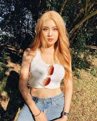 This content has restricted access, please type the password slmcom and get access. Blackpink S Rose Has A Doppelganger And The Look A Like Doesn T Think They Re Similar At All Koreaboo