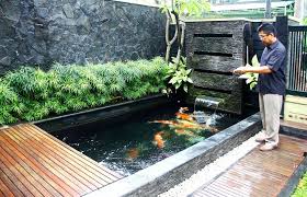 Kolam ikan dalam rumah yang minimalis. Kolam Ikan Koi Minimalis Dalam Rumah Kolam Ikan Kolam Ikan Koi Ide Halaman Belakang