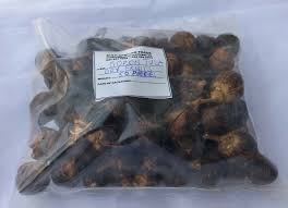 Image result for Azanza