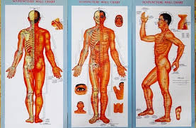 Chi Energy And The 12 Meridians In Your Body Health